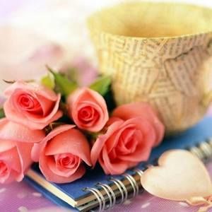 Meet your Posher, Ibrahim